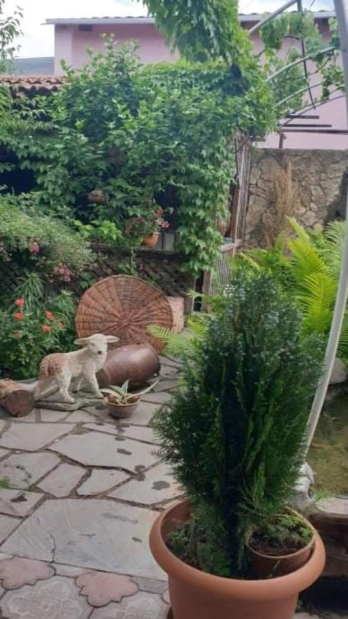 Tamar Guest House Гори Экстерьер фото